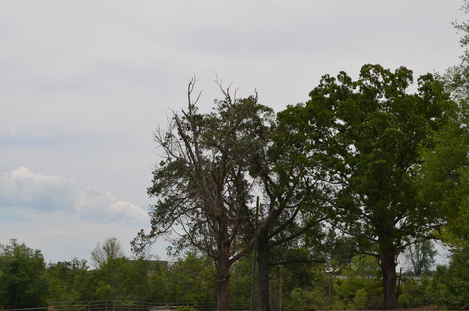 Cook Rd: Cook Rd, Crossville, TN 38555